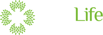 Easy Life