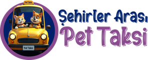 Şehir Pet Taksi