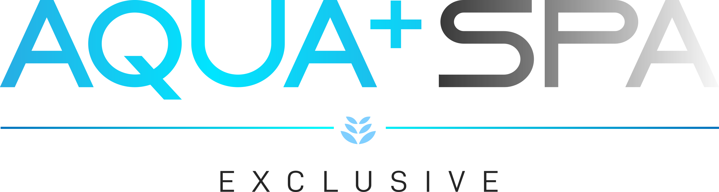Aqua Spa Exclusive